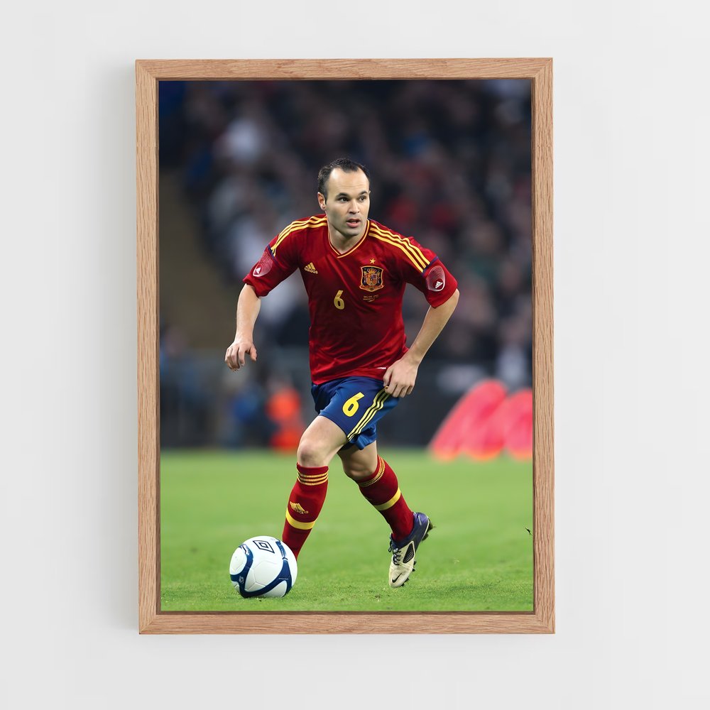 Poster Maestro de la Pelote (vue 4)